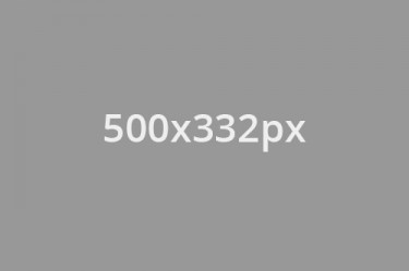 500x332
