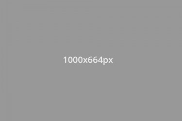1000x664